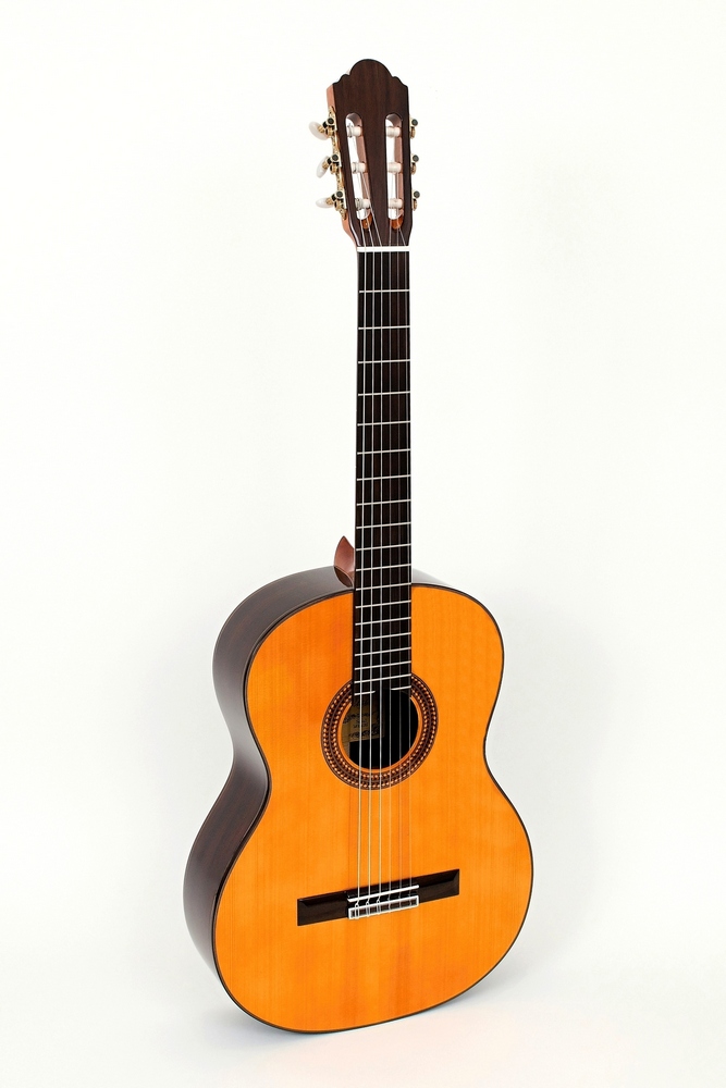 Pablo Vitaso VCG-50C