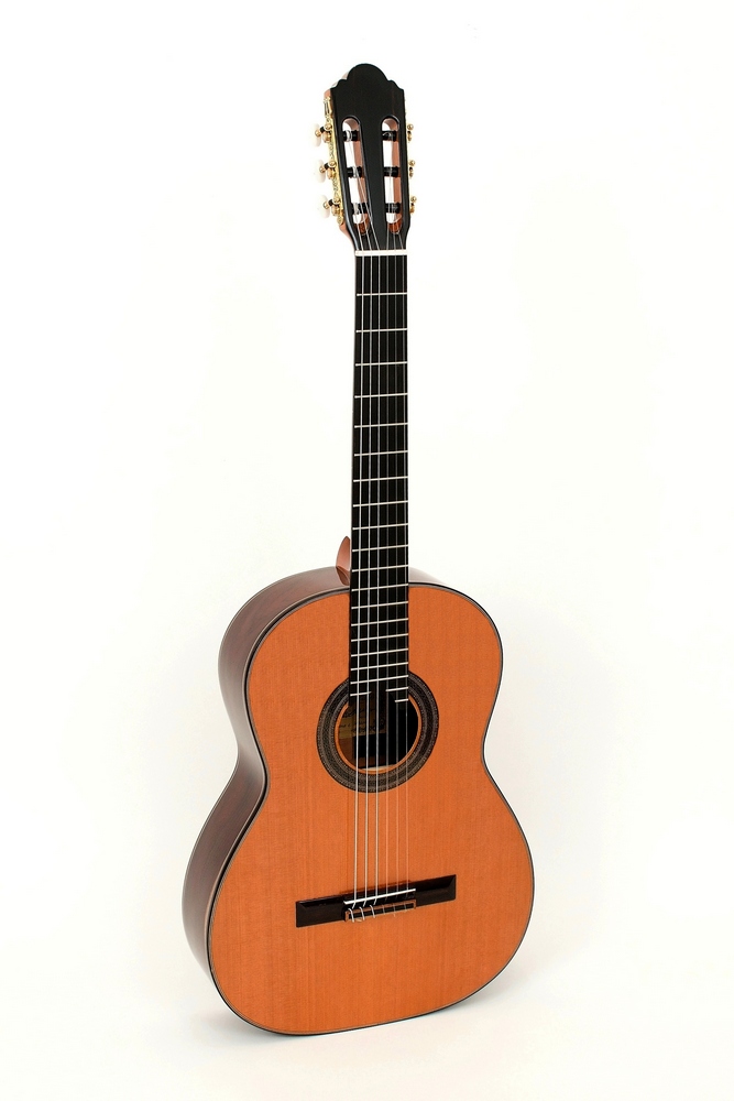 Pablo Vitaso VCG-Cocobolo C