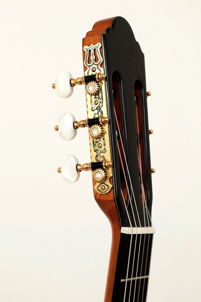Pablo Vitaso VCG-Cocobolo C