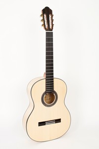 Pablo Vitaso VSG-120S