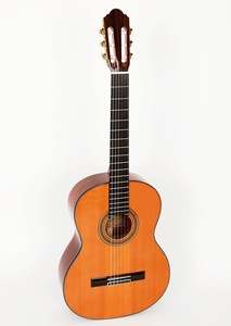 Pablo Vitaso VSG-40C