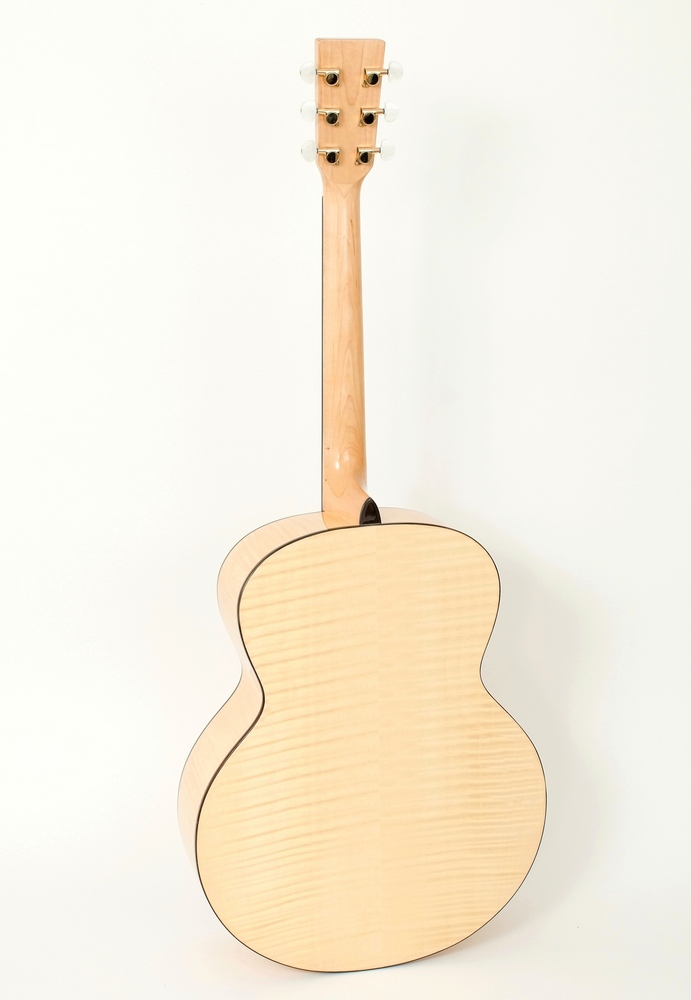 Pablo Vitaso VSG-100S