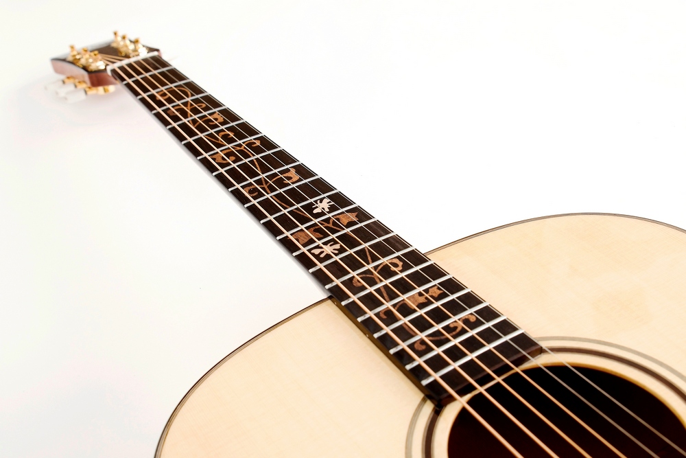 Pablo Vitaso VSG-100S