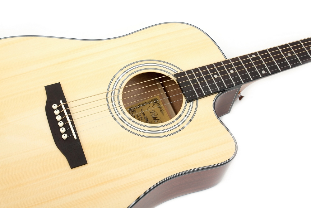 Pablo Vitaso VSG-20S Cut